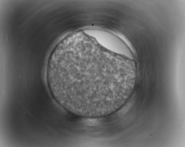 X0000088071245200706081703
