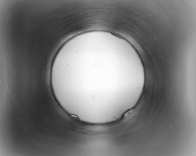 X0000088071246200706081703