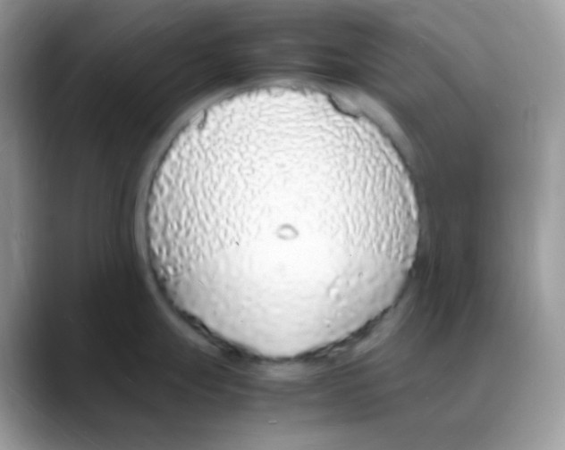 X0000088071247200706081703