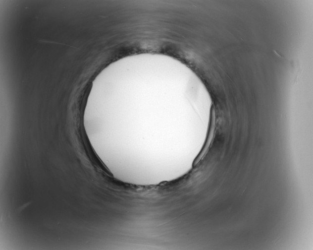 X0000088071249200706081702