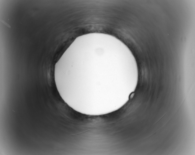 X0000088071250200706081702