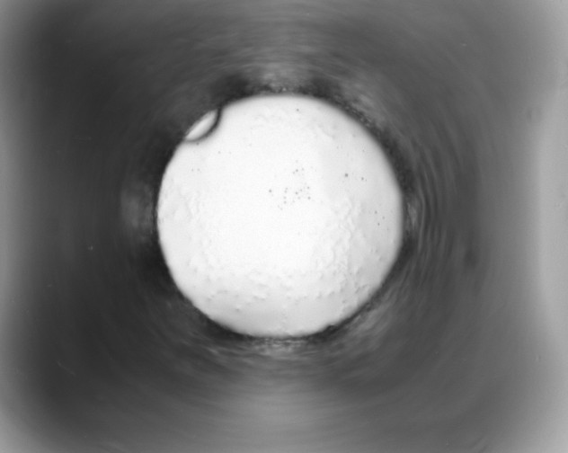 X0000088071251200706081702