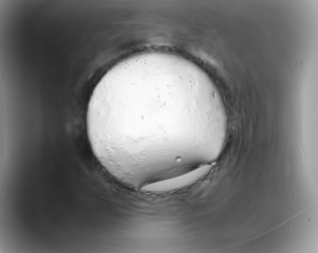 X0000088071255200706081702