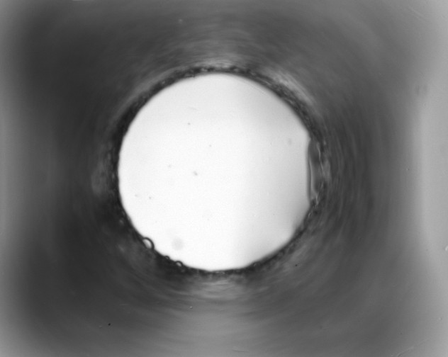 X0000088071256200706081702