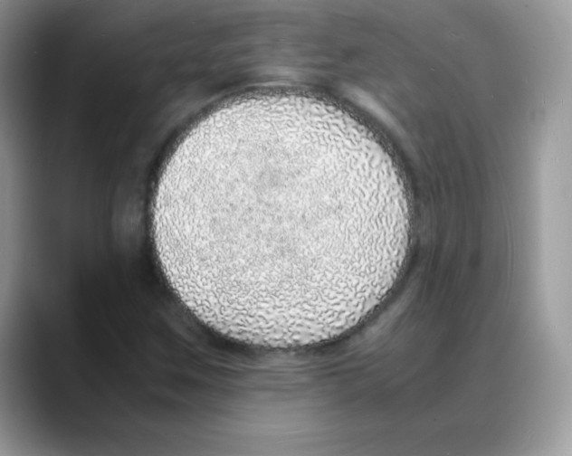 X0000088071259200706081702