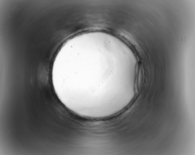 X0000088071260200706081702
