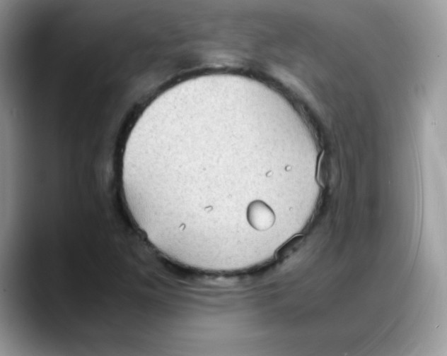 X0000088071261200706081702