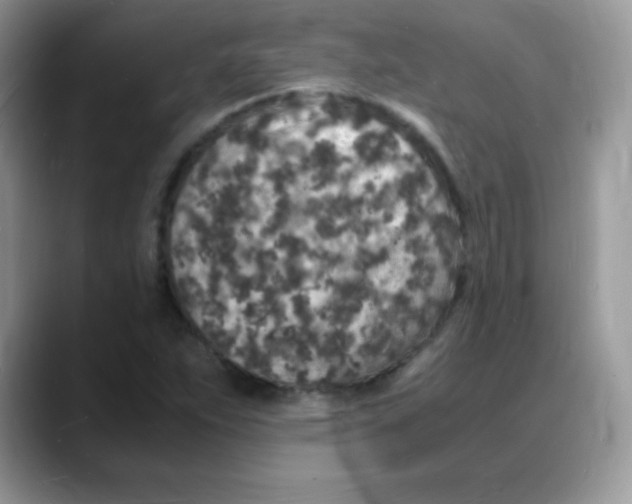 X0000088071263200706081702