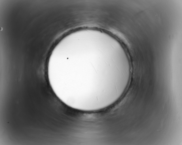 X0000088071264200706081702
