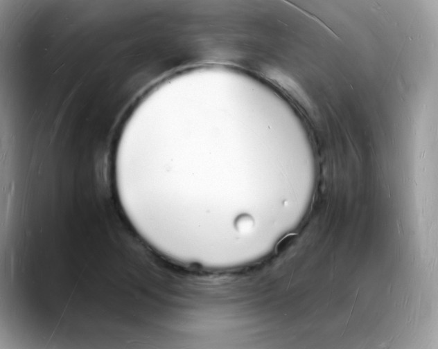 X0000088071268200706081702