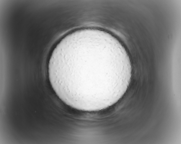 X0000088071271200706081702