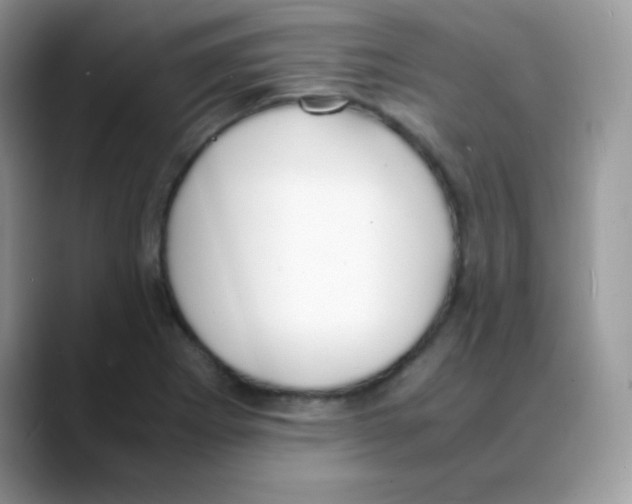 X0000088071273200706081702