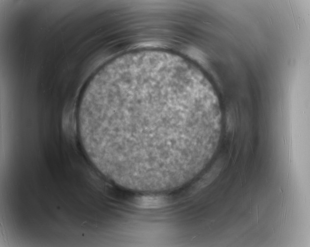 X0000088071274200706081702