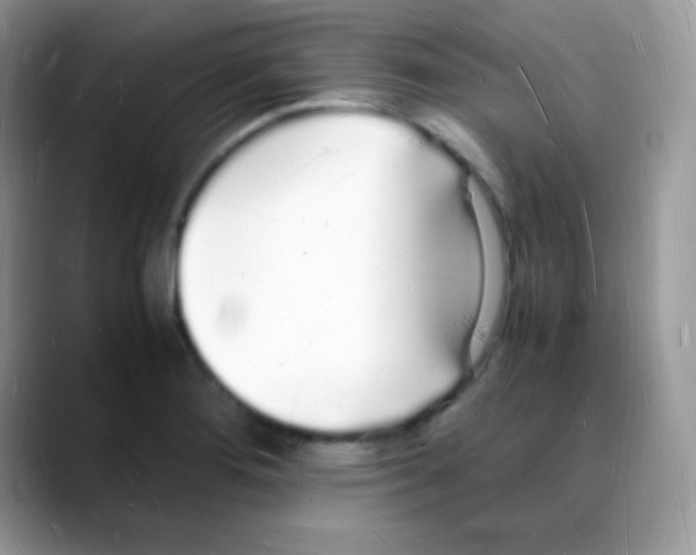 X0000088071276200706081702