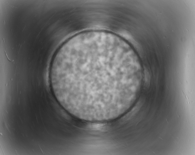 X0000088071278200706081702