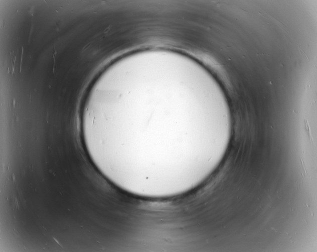 X0000088071280200706081702