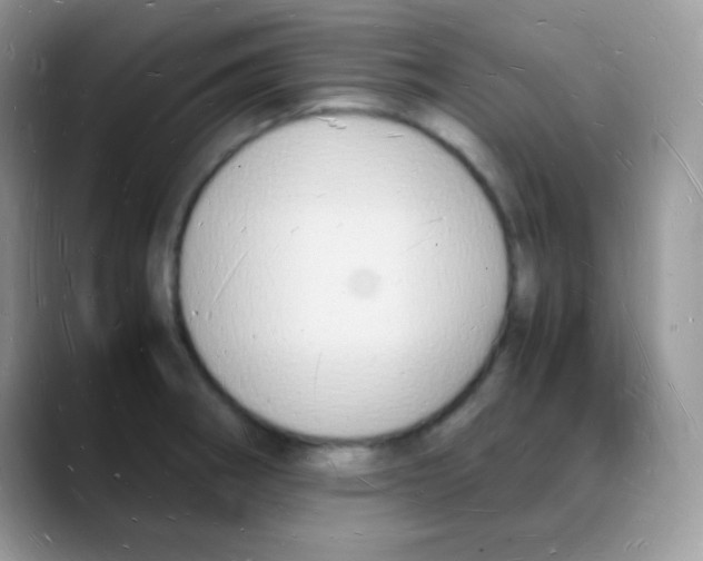 X0000088071282200706081702