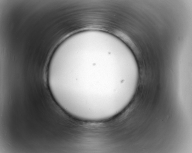 X0000088071284200706081702