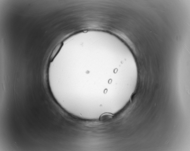 X0000088071285200706081702