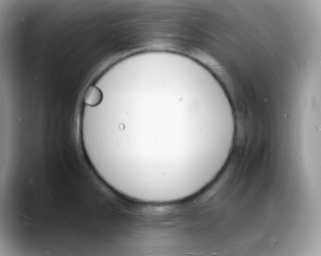X0000088071286200706081702