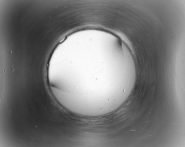 X0000088071287200706081702