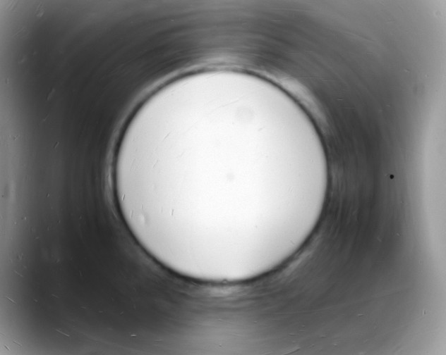X0000088071288200706081702