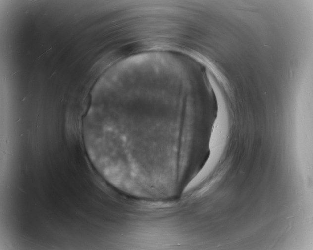 X0000088071289200706081702
