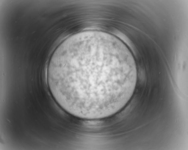 X0000088071290200706081702