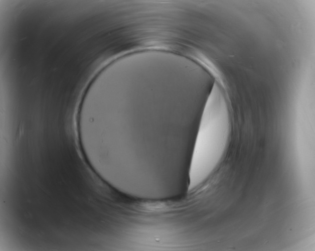 X0000088071291200706081702