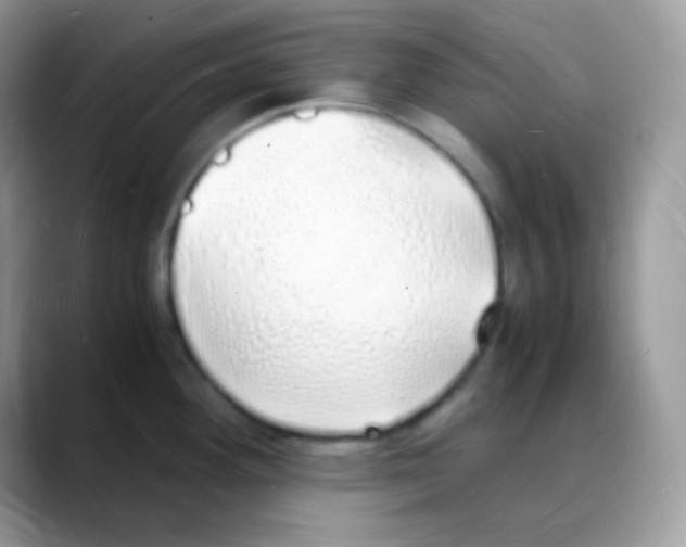 X0000088071292200706081702