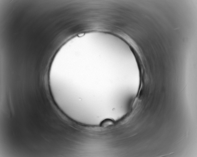 X0000088071293200706081702