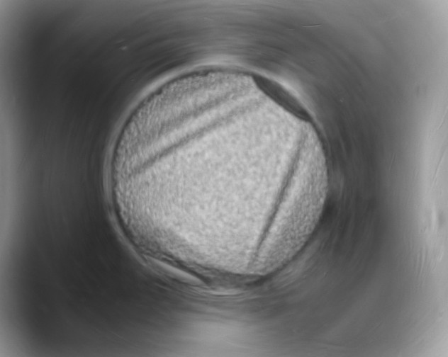 X0000088071295200706081702