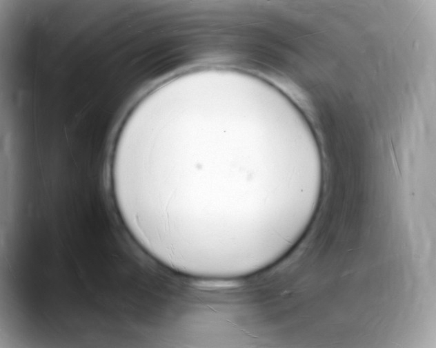 X0000088071296200706081702