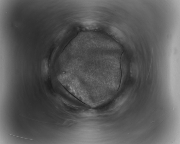 X0000088071298200706081701