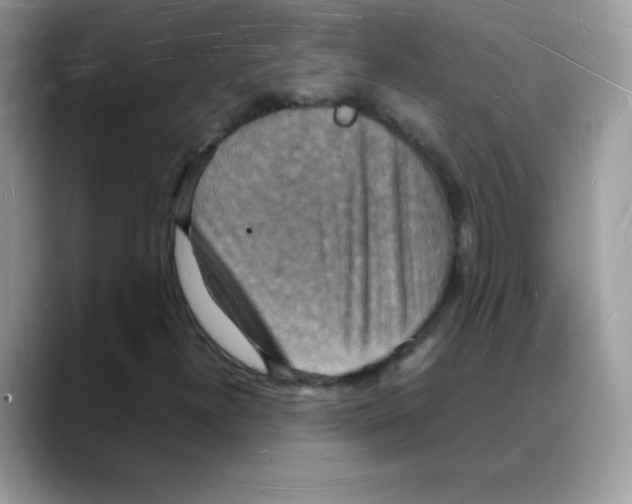 X0000088071300200706081701