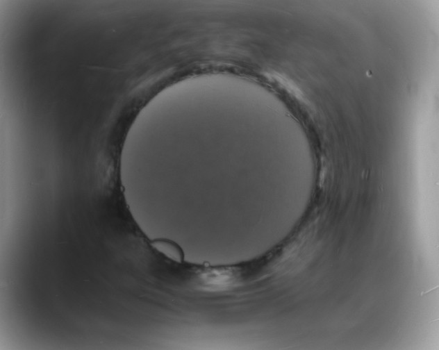 X0000088071303200706081701