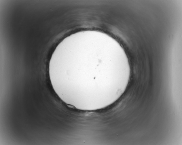 X0000088071304200706081701