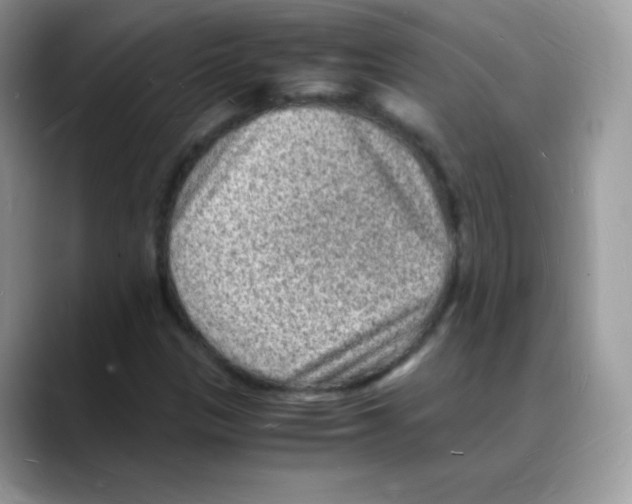 X0000088071305200706081701