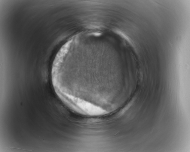 X0000088071306200706081701