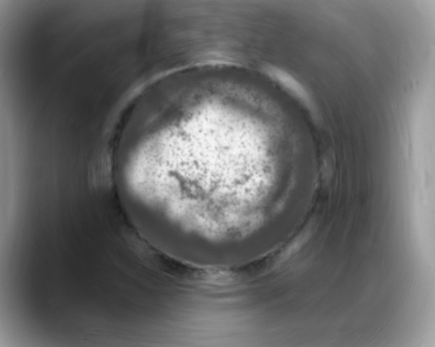 X0000088071310200706081701