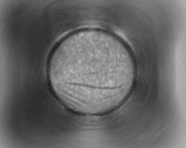 X0000088071312200706081701
