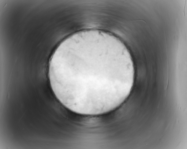 X0000088071314200706081701