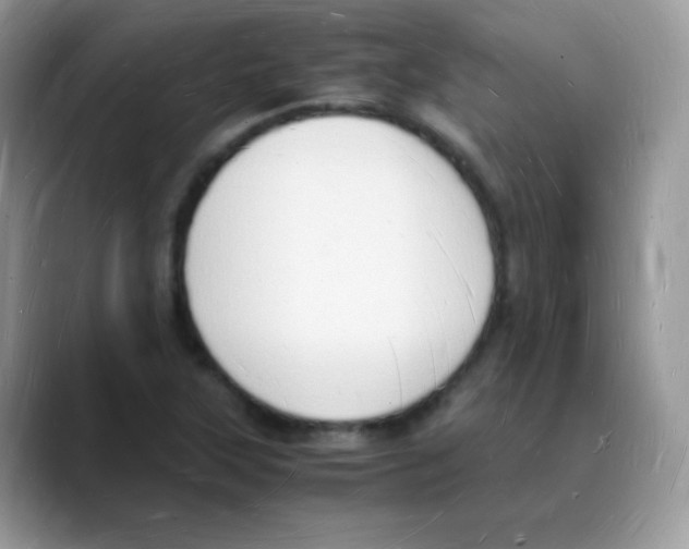X0000088071315200706081701