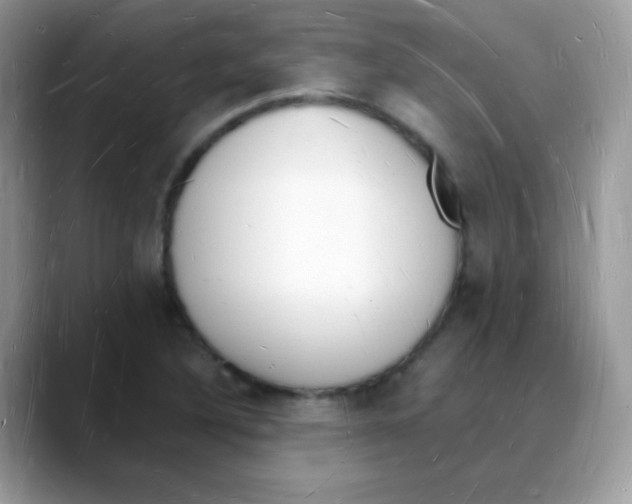 X0000088071316200706081701