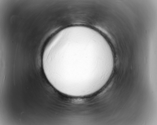 X0000088071317200706081701