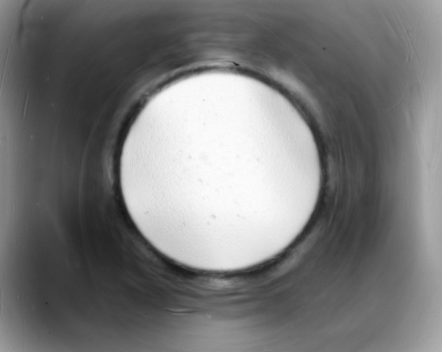 X0000088071318200706081701