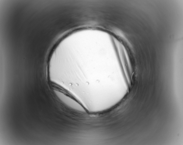 X0000088071320200706081701