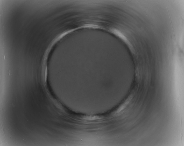 X0000088071323200706081702