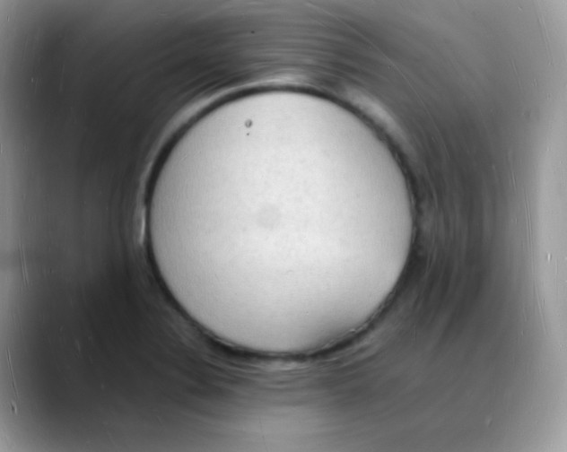X0000088071324200706081702