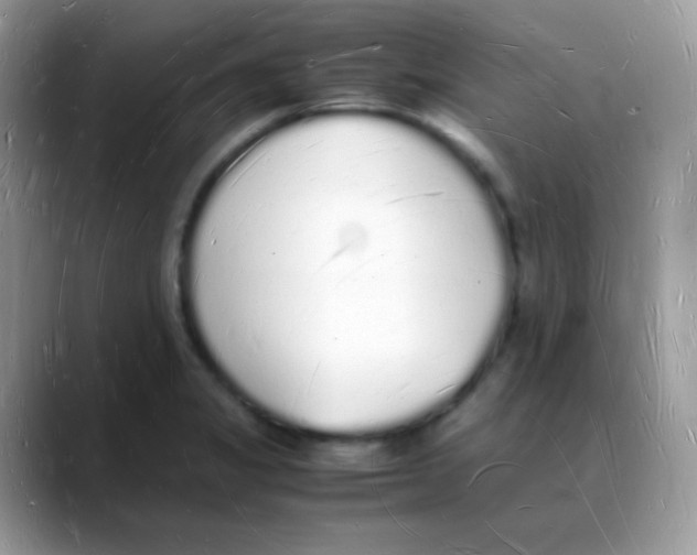 X0000088071325200706081702